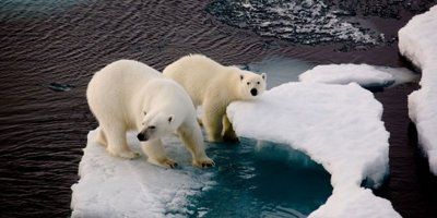 İklim değişikliği İtalya'da zorunlu ders olacak