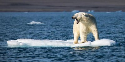 İklim değişikliği İtalya'da zorunlu ders olacak