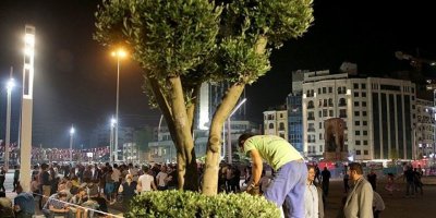 11 Kasım 'Milli Ağaçlandırma Günü' ilan edildi