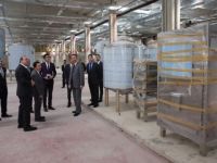 Sahte bala son verecek tesis hazır