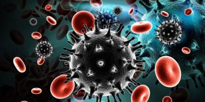 19 yıl sonra yeni türü bulundu