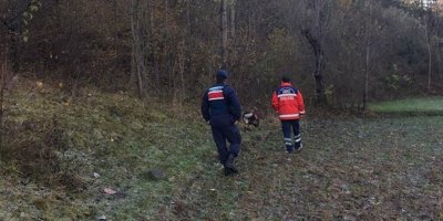 Ormanda ceset parçaları bulundu