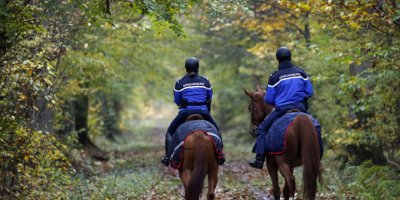 Fransa'da av köpeklerinin saldırısına uğrayan hamile kadın yaşamını yitirdi