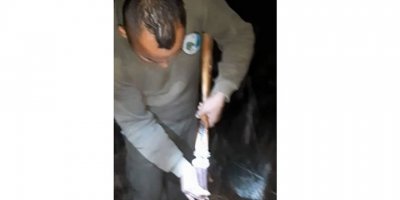 Gece kaçak av yapan kişiler yakalandı