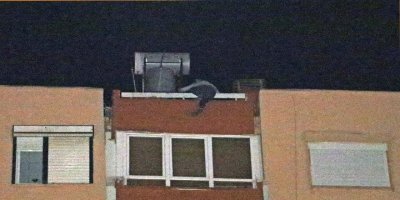 Antalya’da ‘pes artık’ dedirten olay!