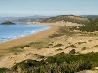 Maronitlerin temsilcisinden Rum hükümetine çağrı