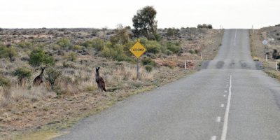 Avustralya'nın ücra bölgesinde 12 gün mahsur kalan kadın kurtarıldı