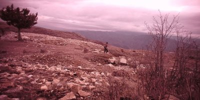 Arkeolojik sit alanında define ararken yakalandılar