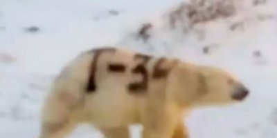 Bilim insanları endişeli