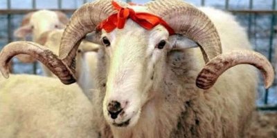 Kurban Bayramı 2020’de ne zaman?