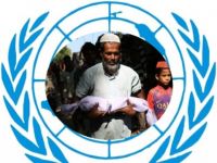 BM'de Myanmar kararında Arakanlı Müslümanları hedef alan operasyonlara son verilmesi istendi
