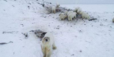 Sıcak hava Rusya'nın doğusunu etkiliyor