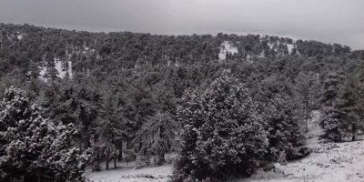Trodos beyaza büründü