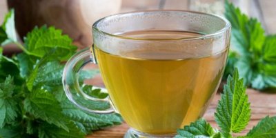 İşte ısırgan otu çayının etkileri