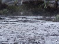 Kalecik-Tuzluca kavşakları arasındaki yol trafiğe kapatıldı