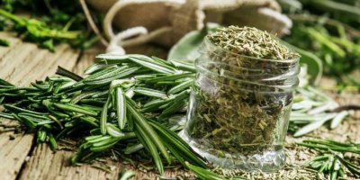 Biberiye neye iyi geliyor?