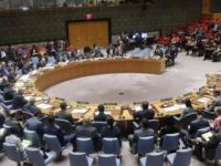 Rusya kimyasal silah araştırmasını veto etti