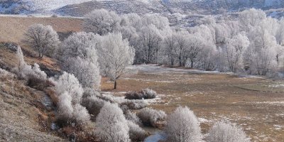 Kırağı kartpostallık görüntüler oluşturdu