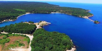 Doğa harikası Hamsilos kurtuldu