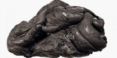 5 bin yıllık sakızdan genetik şifre