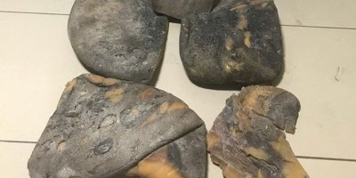 Mersin'de balina kusmuğu operasyonu (Piyasa değeri 2,5 milyon lira)