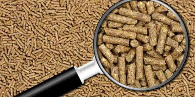 Tarım ve Doğal Kaynaklar Bakanlığı Kasım ayı yem analiz sonuçlarını açıkladı