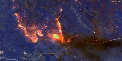 Avustralya'daki yangın faciası: 480 milyon hayvan öldü