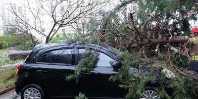 İstanbul'da fırtına bilançosu netleşti