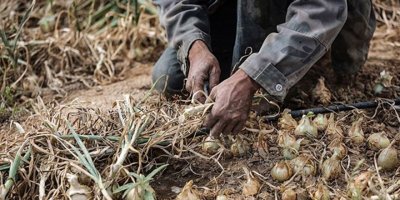 İsrail, baraj kapaklarını açarak Gazze'de yarım milyon dolarlık hasara neden oldu