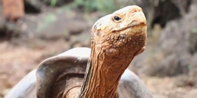 1000 çocuk yaptı emekliye ayrıldı