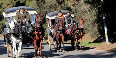 Adalar'daki faytonlar İBB'ye geçecek