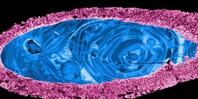 Dünya’nın en eski kraterinde bulundu!