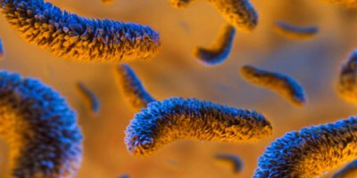 Wuhan virüsünden korunmanın yolları