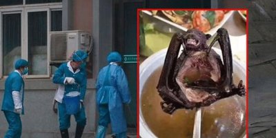 Koronavirüse neden oldu denilen yarasa çorbasıyla ilgili gerçek başka çıktı