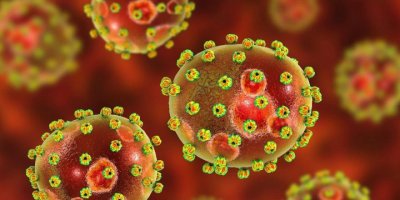 Genleri bilinenden farklı bir virüs keşfedildi