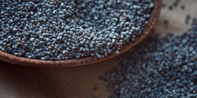 Haşhaşın besin değerleri ve kalorisi