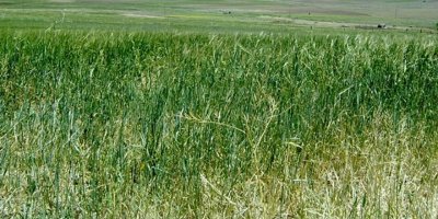 Arazi beyanları için hatırlatma