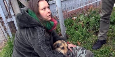 Yaralı köpeğin acısını dindirmek için çırpındı