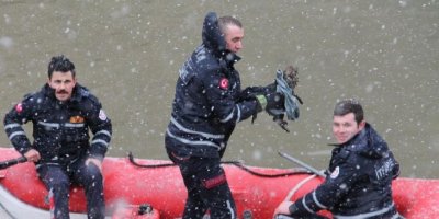 Yeşilırmak’a düşen yavru kediyi iftaiye botla kurtardı