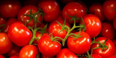 Rusya: Türkiye henüz domates sevkiyatına yönelik kotayı doldurmadı