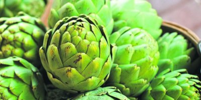 Güney’de enginarlar ve kabakalar da dondan zarar gördü