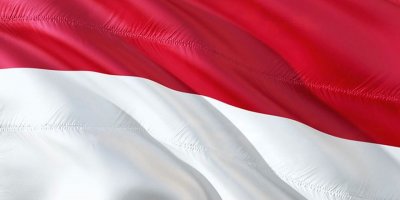 Endonezya, Endonezce'nin Güneydoğu Asya'nın ortak dili olmasını istiyor