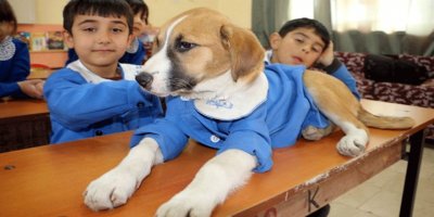 'Fındık', tedavi için Ankara'ya gönderildi