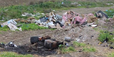 Doğaya katliam bitmiyor