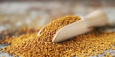 Hardalın faydaları nelerdir?