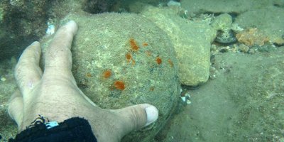 Antalya'da denizde tarihi top mermileri bulundu