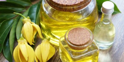 Ylang ylang yağının faydaları nelerdir?