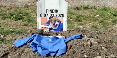 'Fındık' köpek toprağa verildi