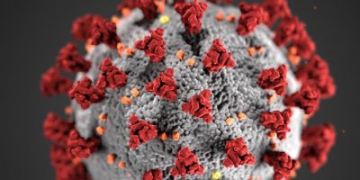 Koronavirus: En çok kimi tehdit ediyor?