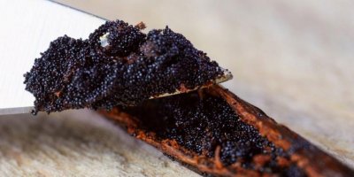 Vanilyanın faydaları nelerdir?